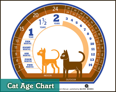 CatAgeChart