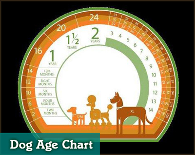 DogAgeChart